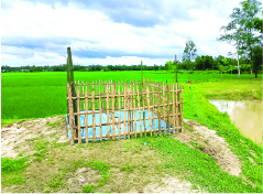 Image of শাহাদাত হোসেন